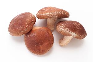 【店舗名】の魅力と特徴を徹底解説！アクセス良好な立地と多彩なサービスが魅力