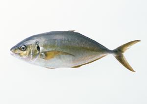 昼と夜で異なった和食がある越谷の料亭