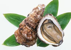 どら焼きの魅力を徹底解説！2025年最新の選び方と美味しい食べ方ガイド