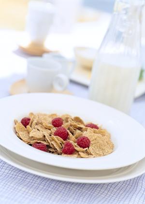 大阪のお好み焼きと地域活性化を牽引する「ぼてぢゅう」グループの公式ウェブサイト徹底解剖