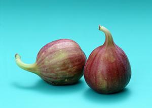 美味しい中華料理店を探しているのなら