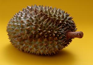 大宮駅東口からアクセス抜群！伝説のすた丼屋 大宮東口店の魅力と詳細情報